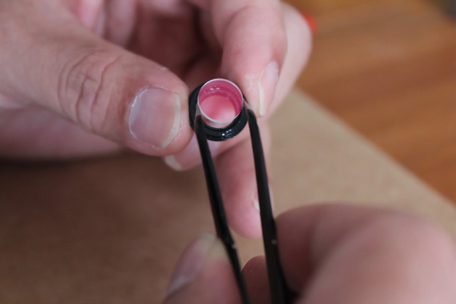 capra camera assembly 11.JPG