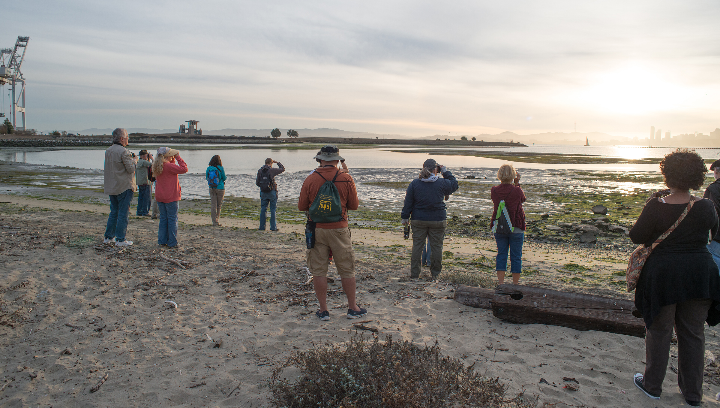 The sun sets on a beautiful afternoon of birdwatching. (Taji Allen)