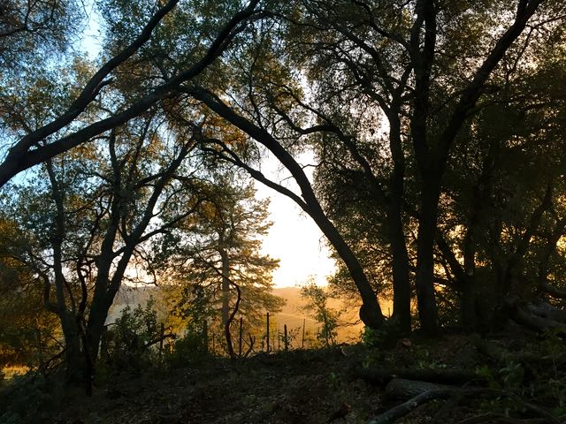 Amador Canal at Sunset