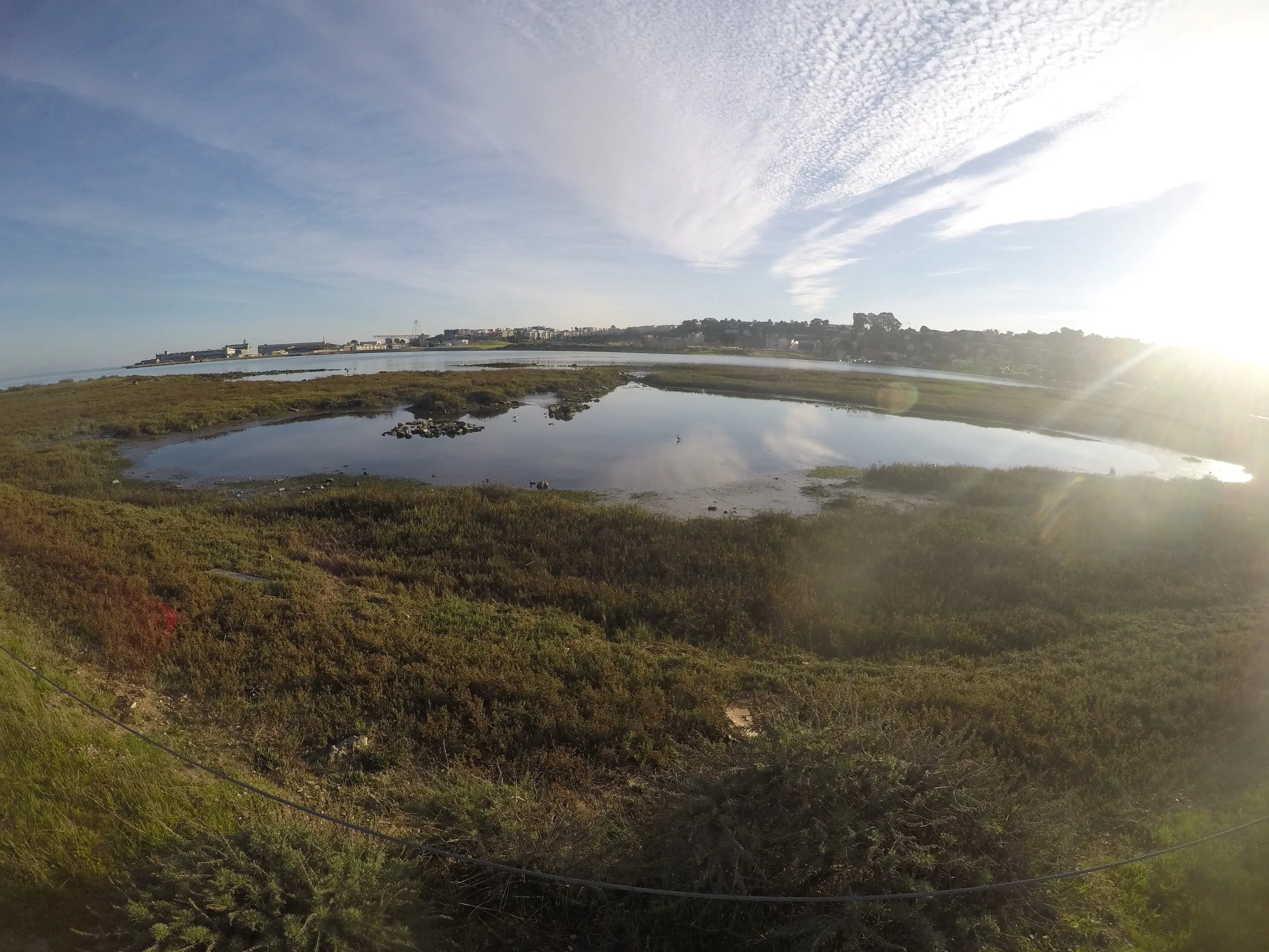 Heron's Head Park. Photo: Eric Simons