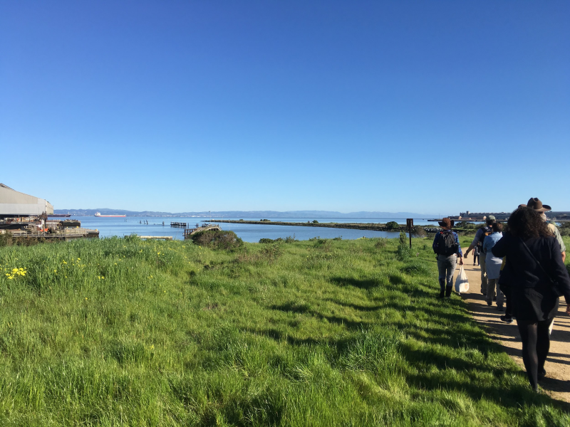 Heron's Head Park... a great place to get to know the SF Bay!