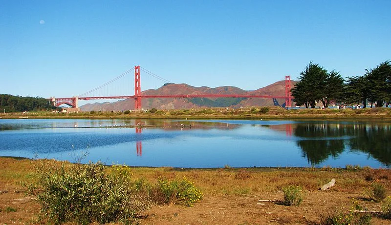 Crissy Field marsh. Photo: Wikimedia