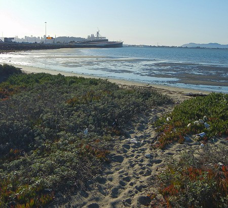 Radio Beach. Photo: Andrew Alden, Oakland Geology