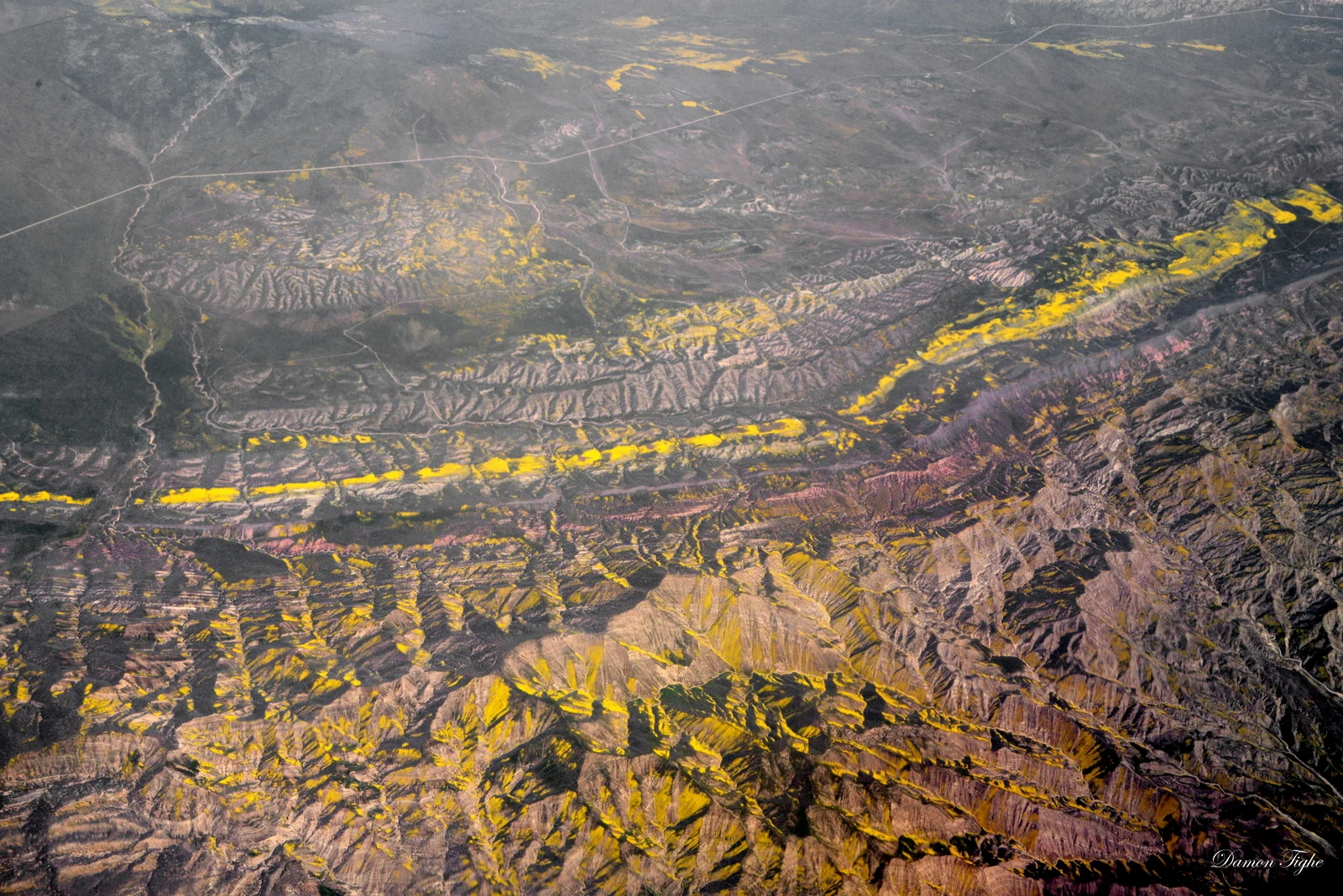 March 30th view of the Carrizo Plain's Caliente Range with Soda Lake Road running the top half of the picture. Its interesting to note that most of the Caliente Range slopes that are in full color are south facing.