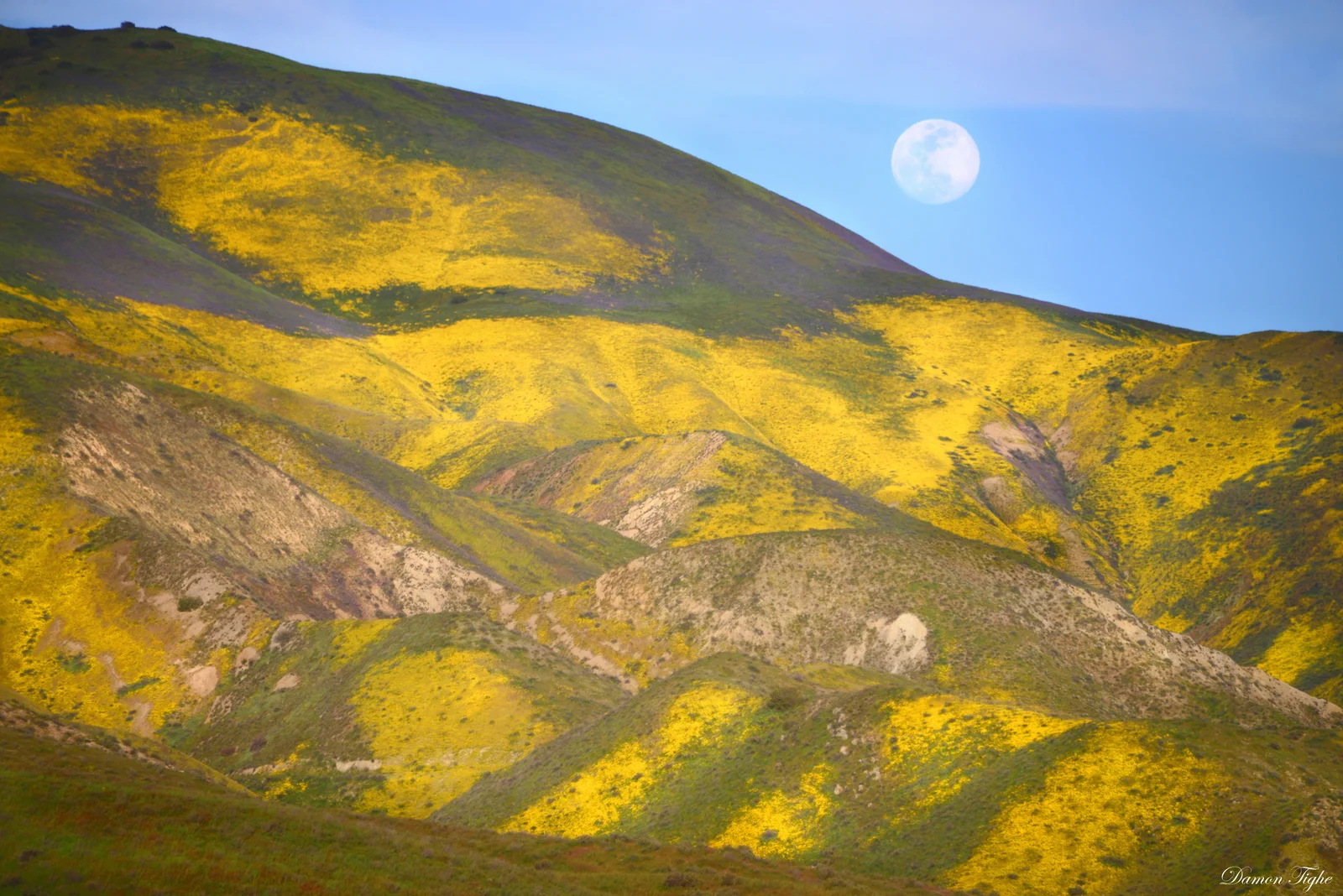 North facing slopes of the Temblor still showing strong colors.
