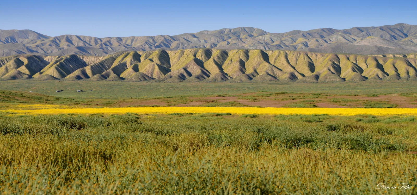 If you are trying to get away from the crowds the southern part of the plain has blooms and solace.