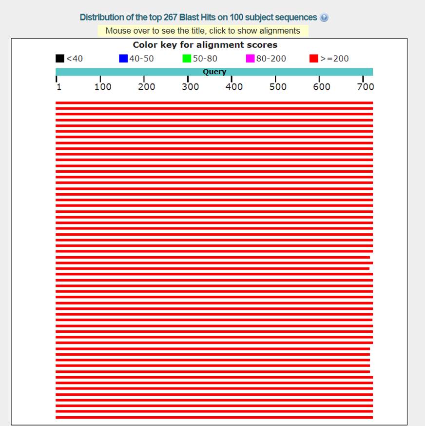 BLAST Results graphical