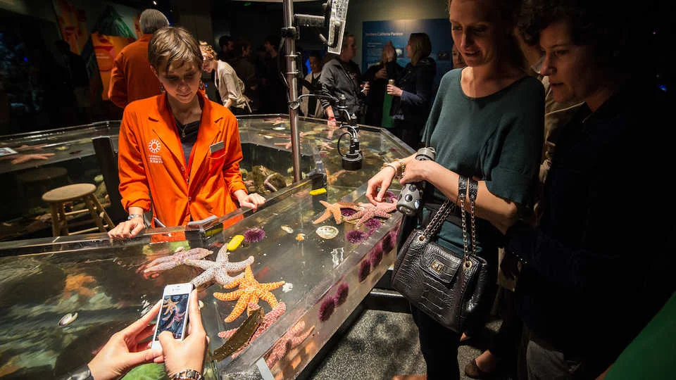 photo_by_jason_mongue_nightlife_aquarium.jpg