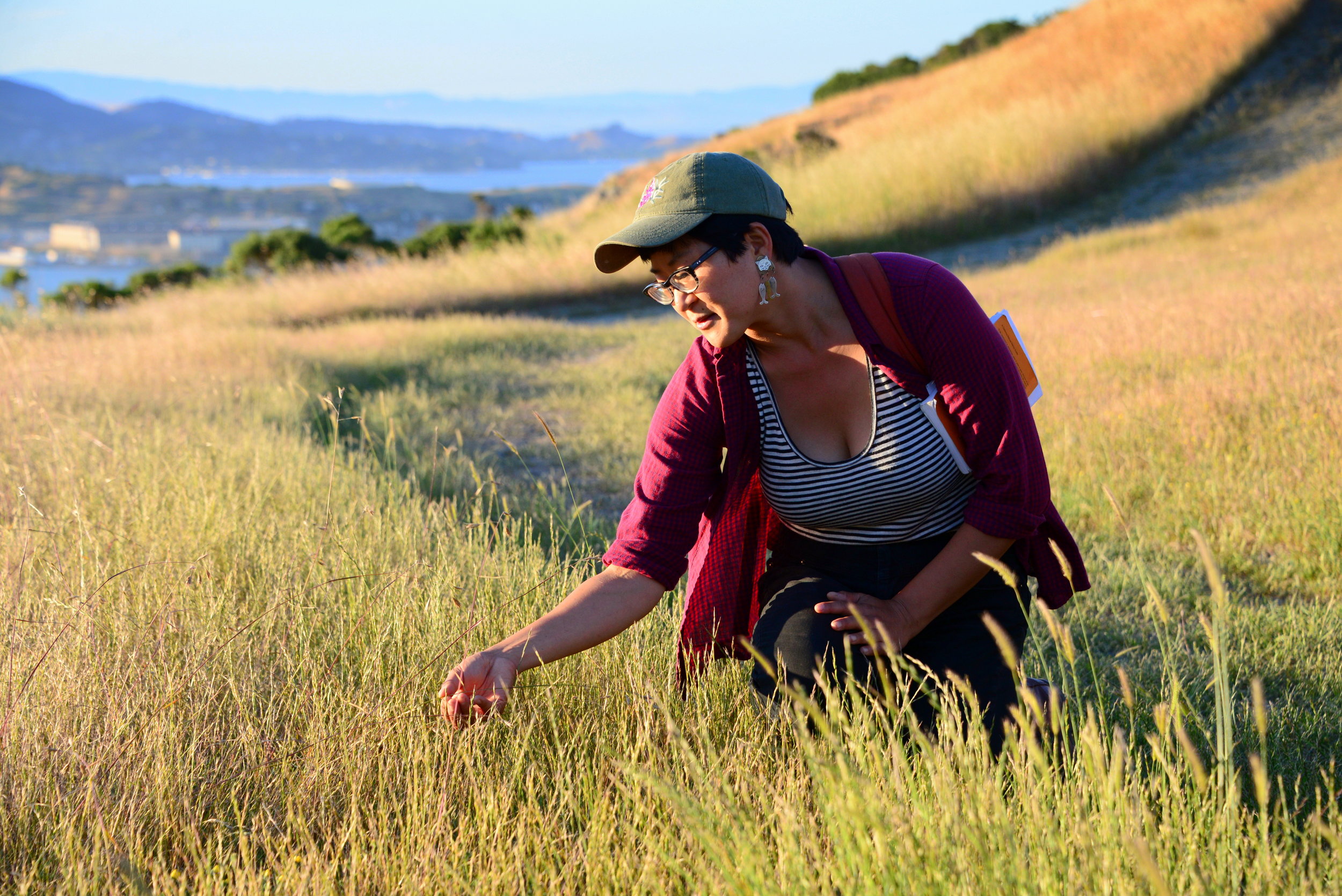 CCNH naturalist Angela Pai helping identify grasses