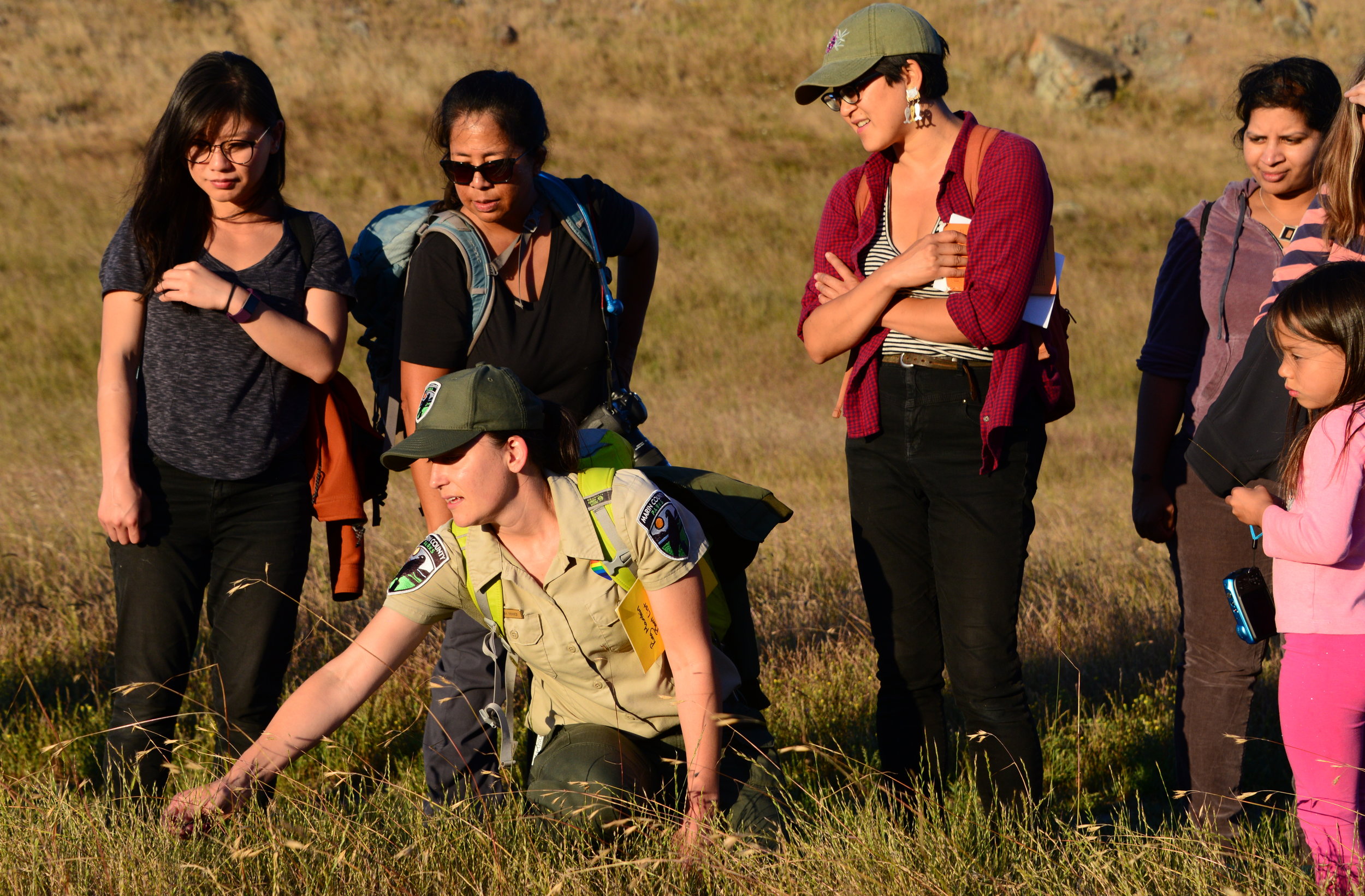 Sarah Minnik points out Californi Oatgrass (Danthonia californica)