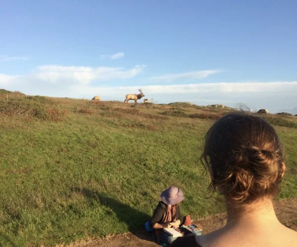 Draw Majestic Elk and Epic Landscapes!