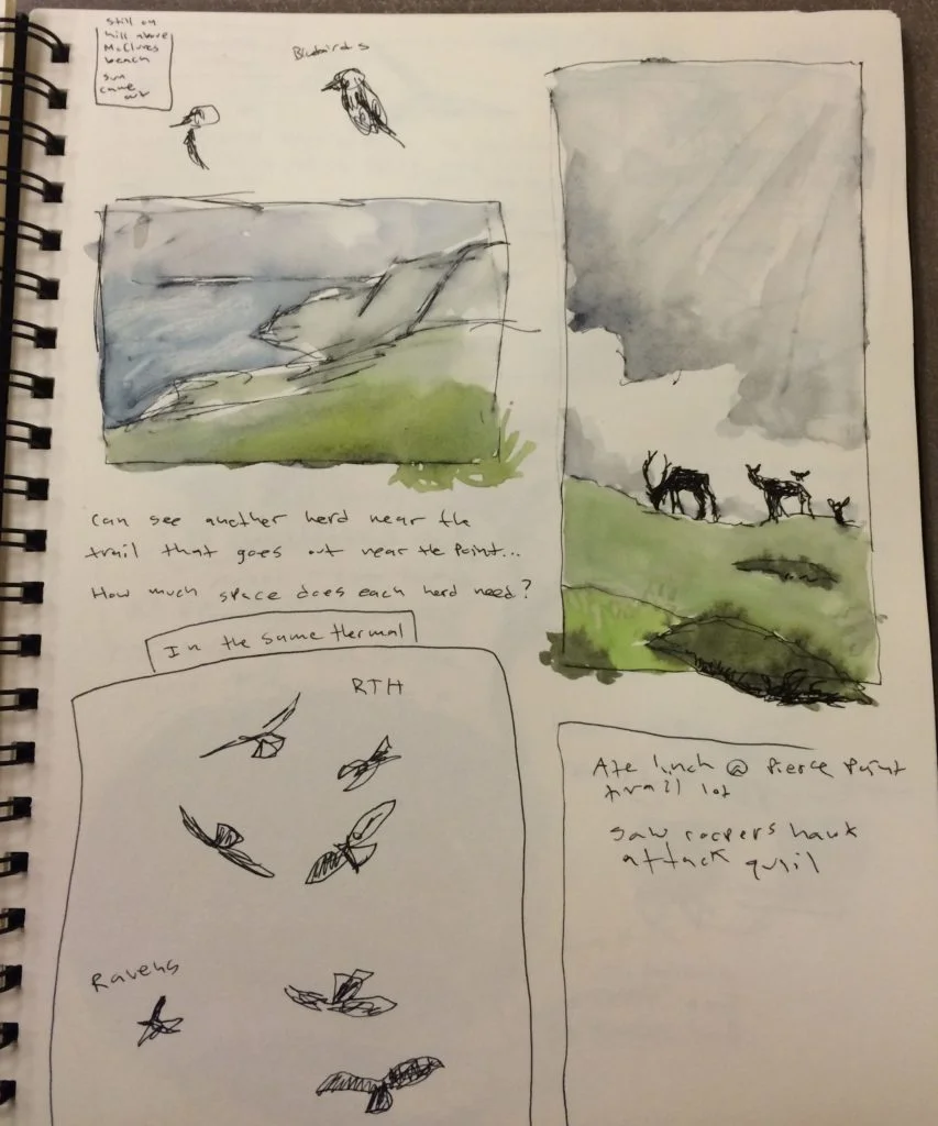 EVENT CANCELLED!!! (Second Chance Elk Rut!)