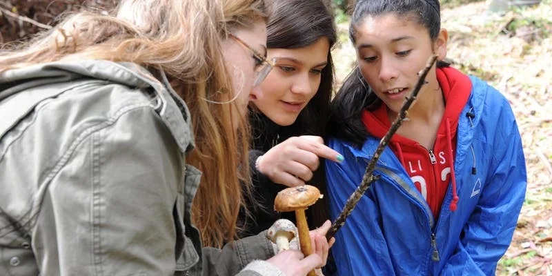 Huddart Park BioBlitz