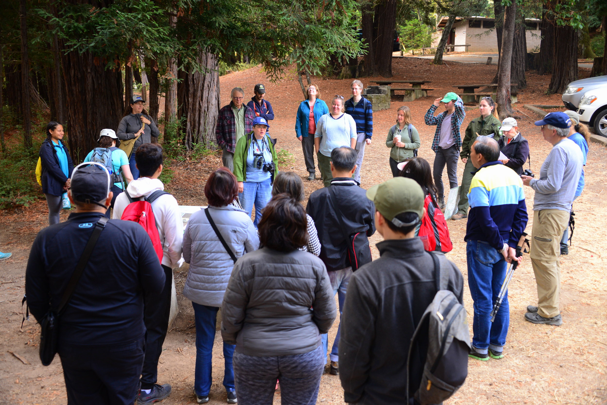 Huddart Park Bioblitz