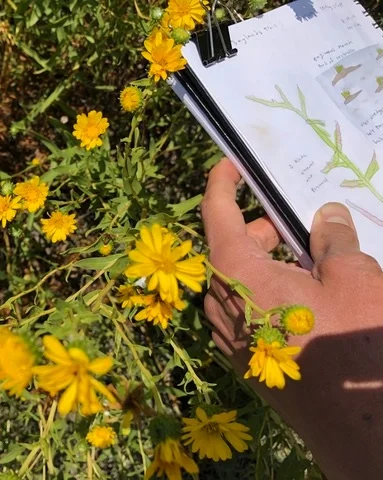 Wetland Nature Journaling and potluck