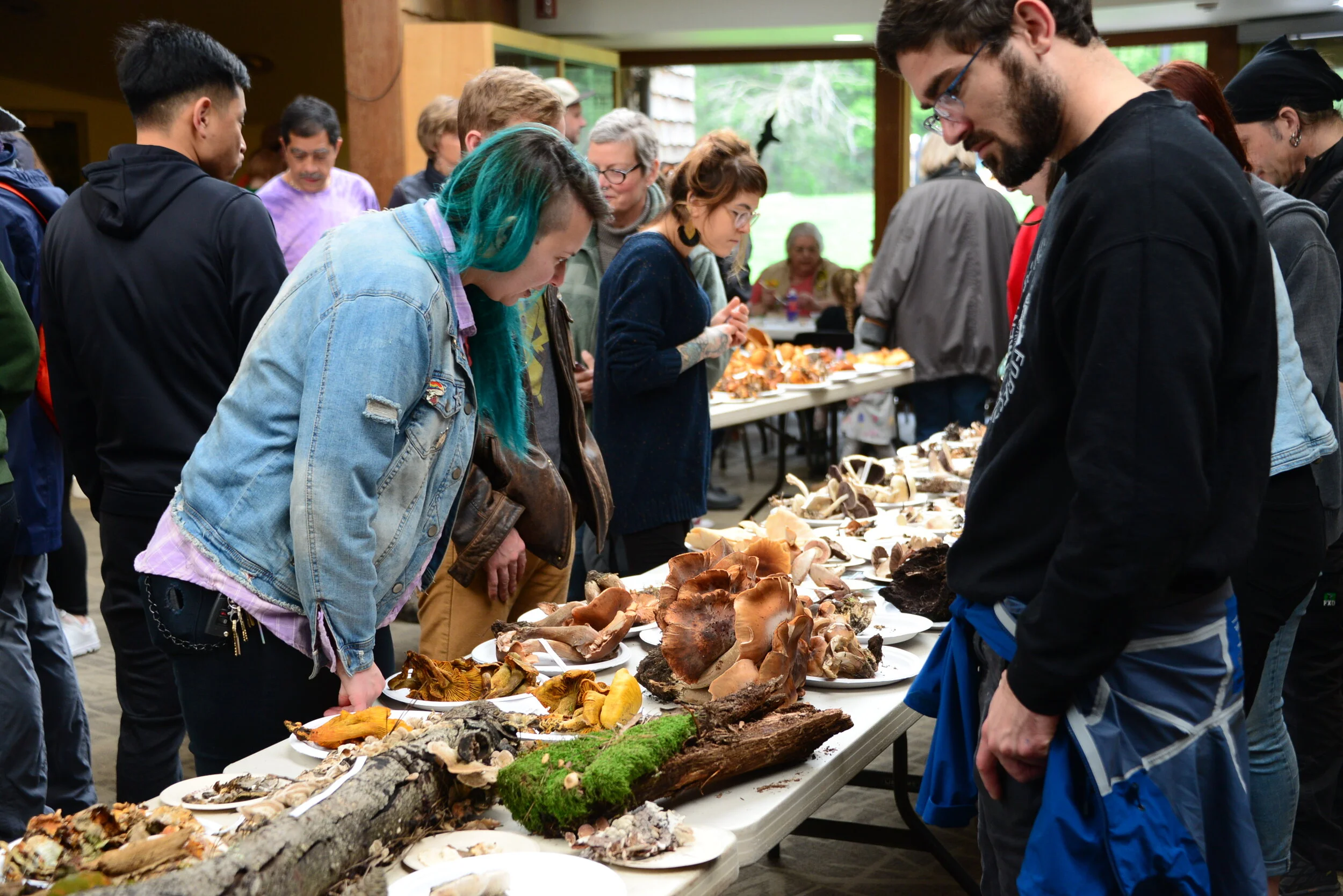 Tilden Fungus Fair 2020