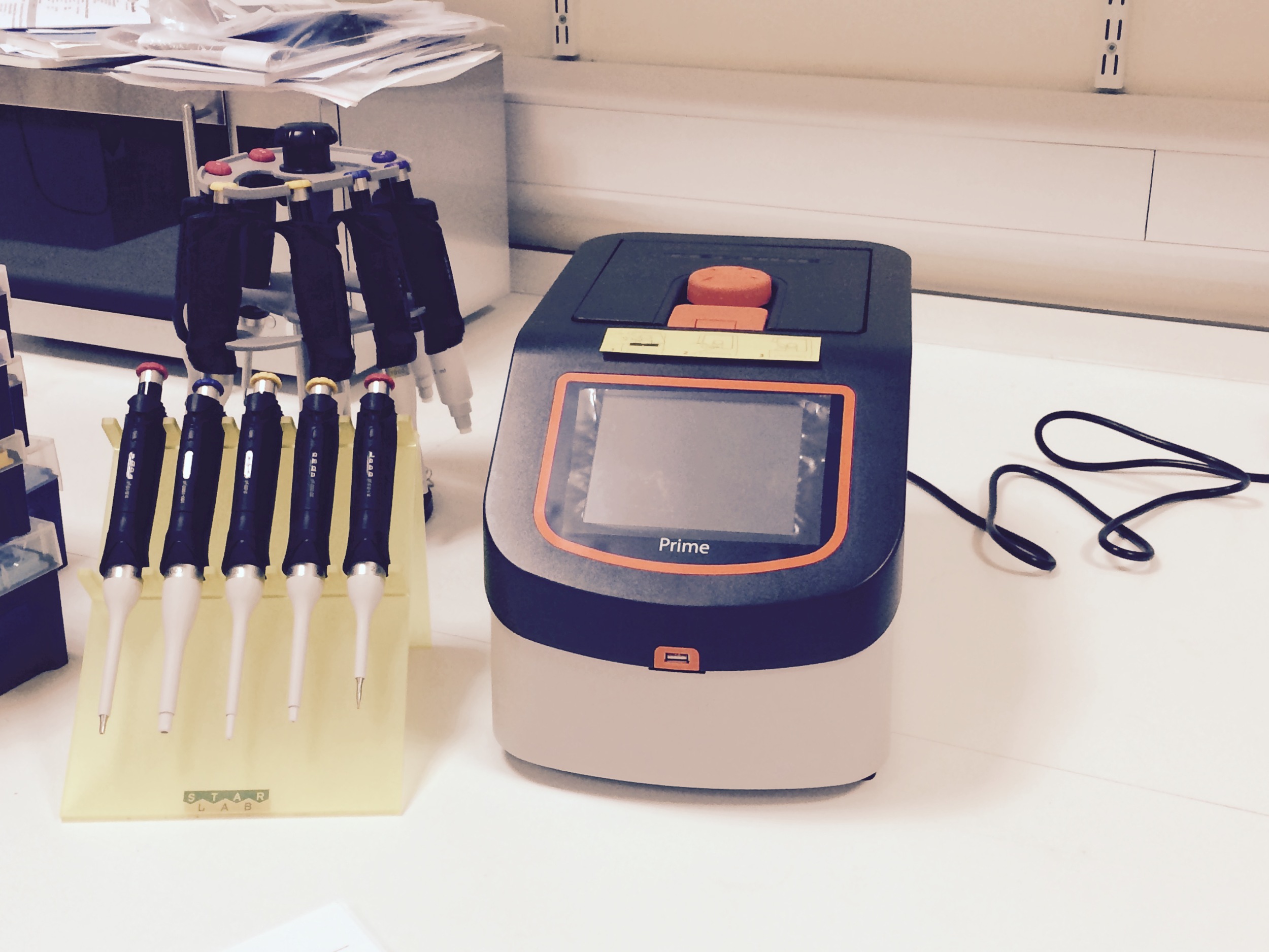 PCR.jpg