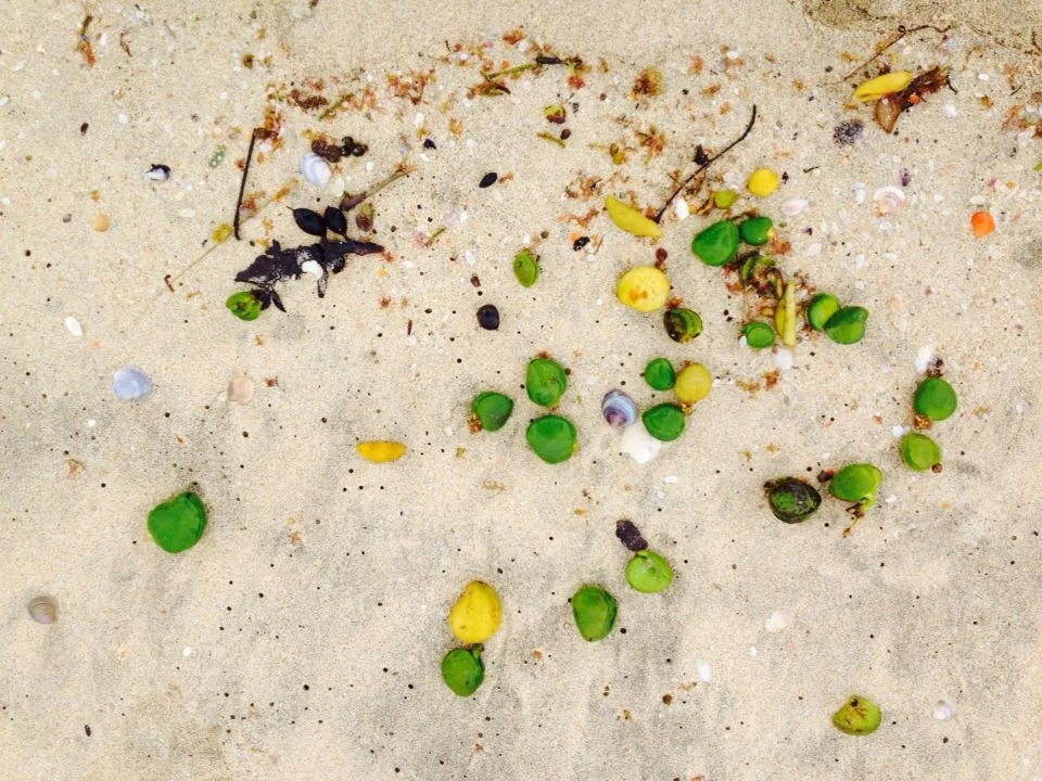 iPhone Sarah 028.JPG