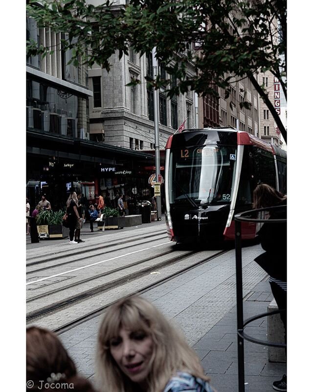 Tram on George Street, Sydney
.
.
.
#transportfornewsouthwales #jocoma.space #sydneyaustralia