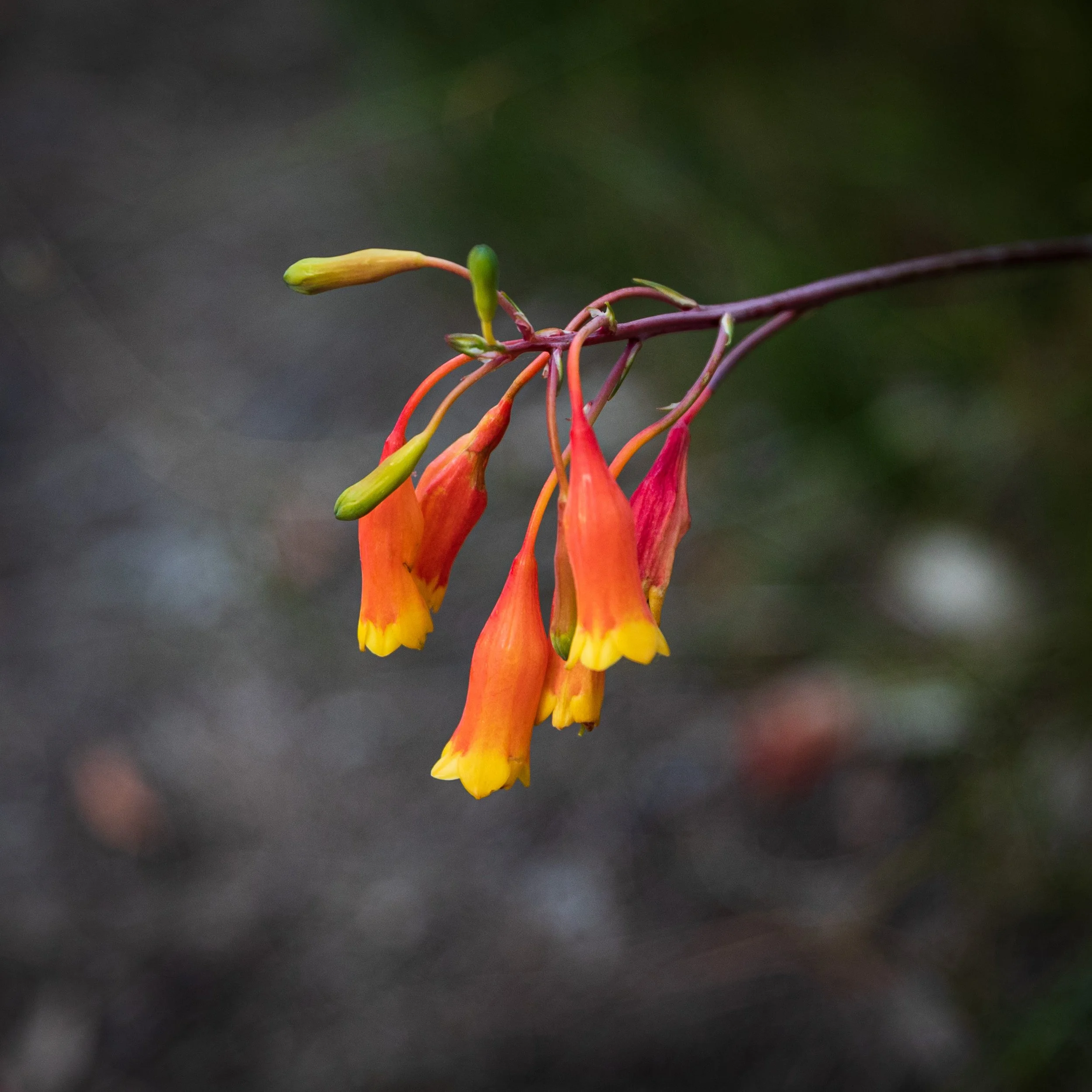 Photowalk 26 Sep 21-30.jpg