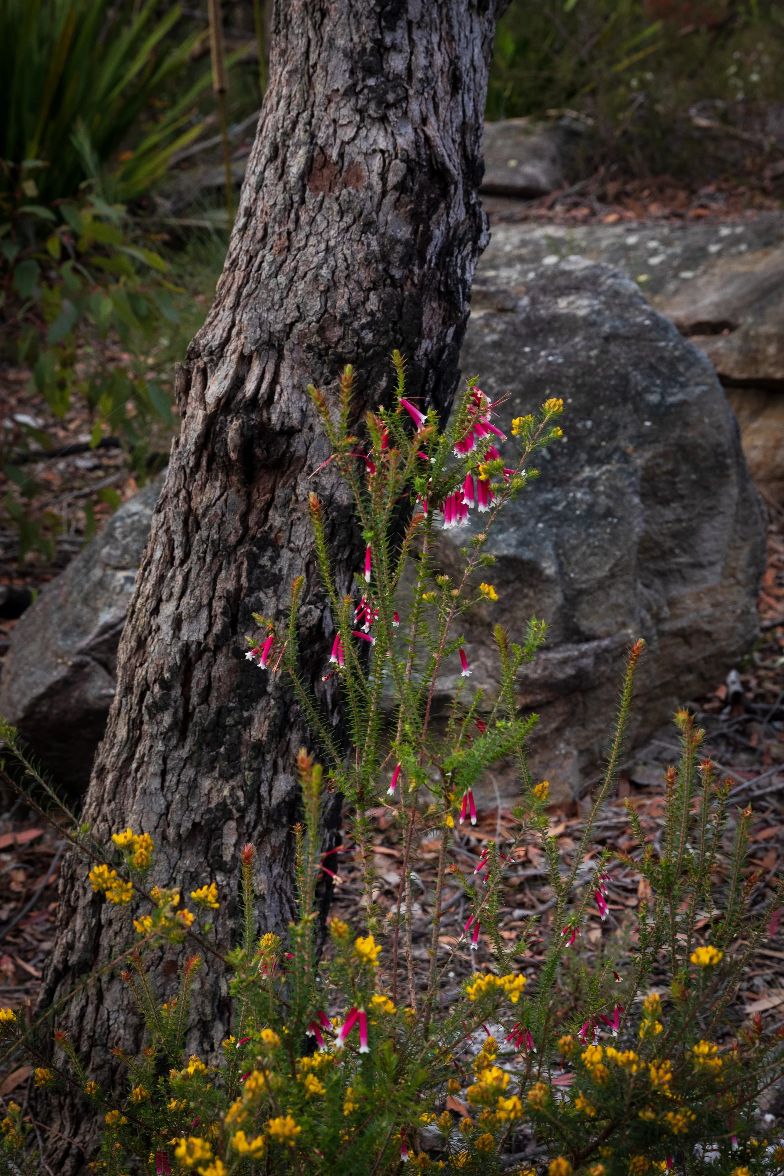 Photowalk 26 Sep 21-34.jpg