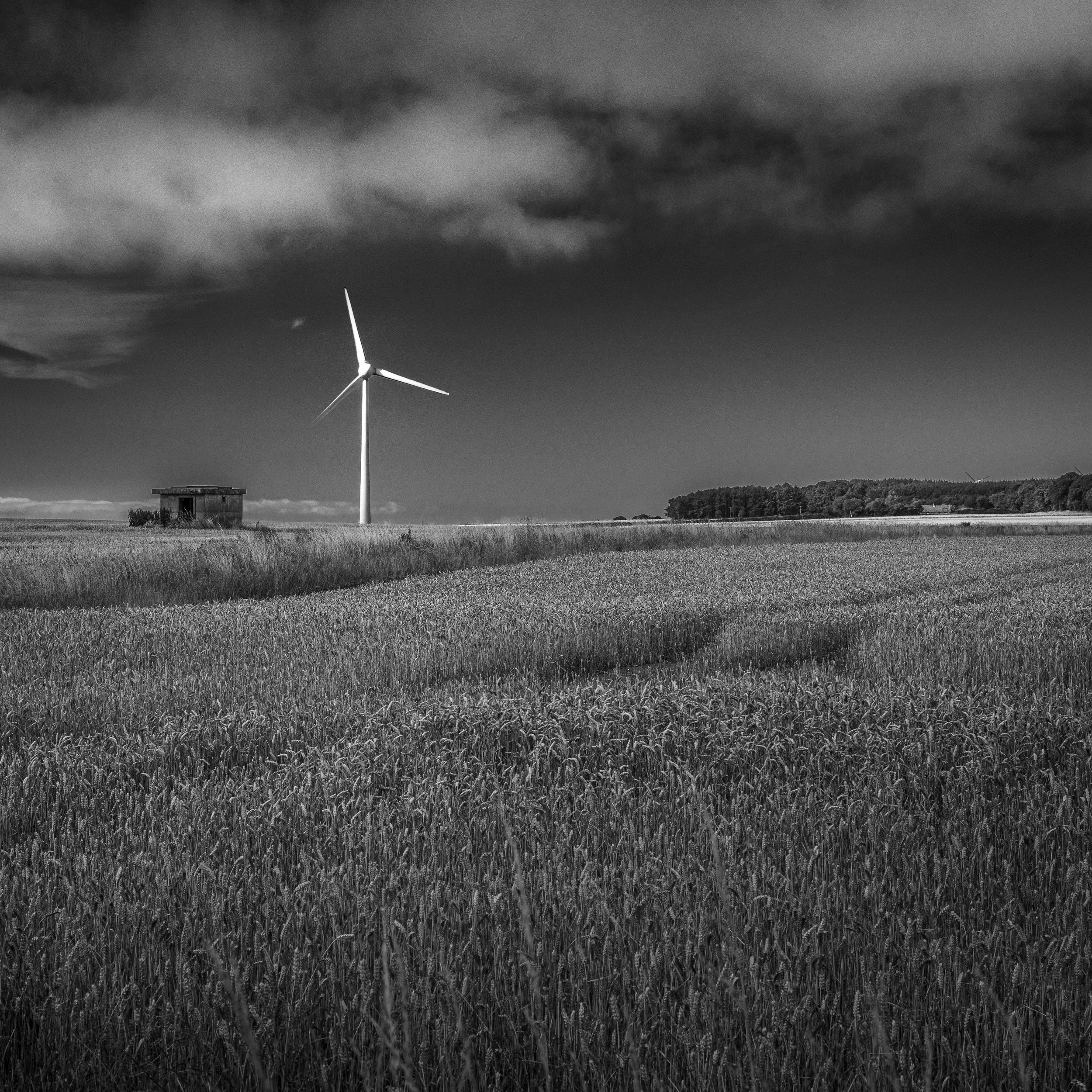 Fife Coastal Path 11 Aug 22-7.jpg