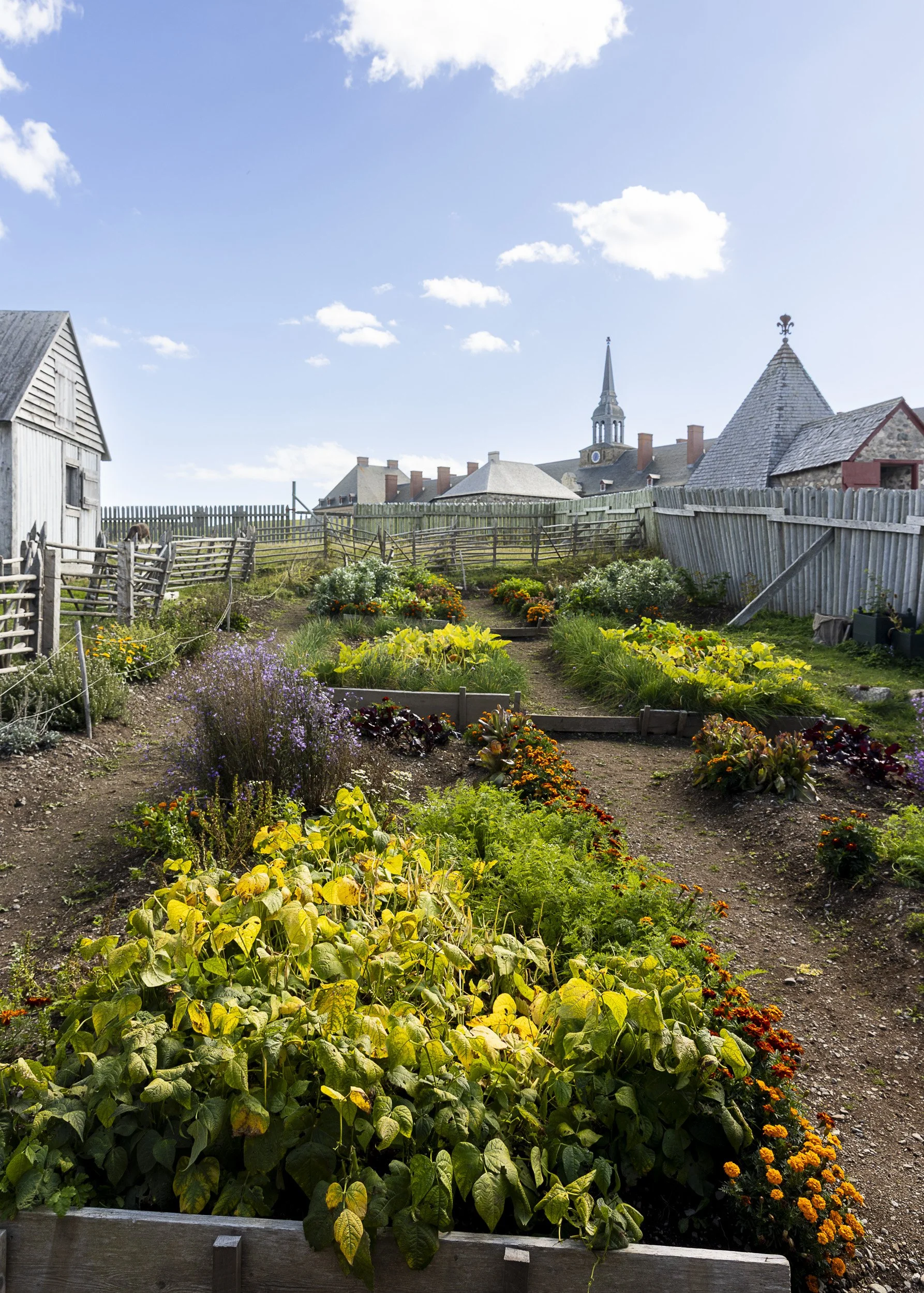 The gardens of Fortress of Louisbourg