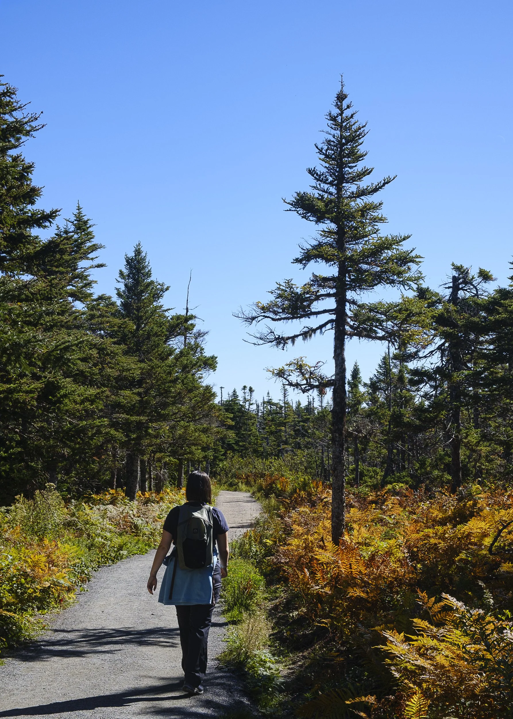 Skyline Trail, Cape Breton