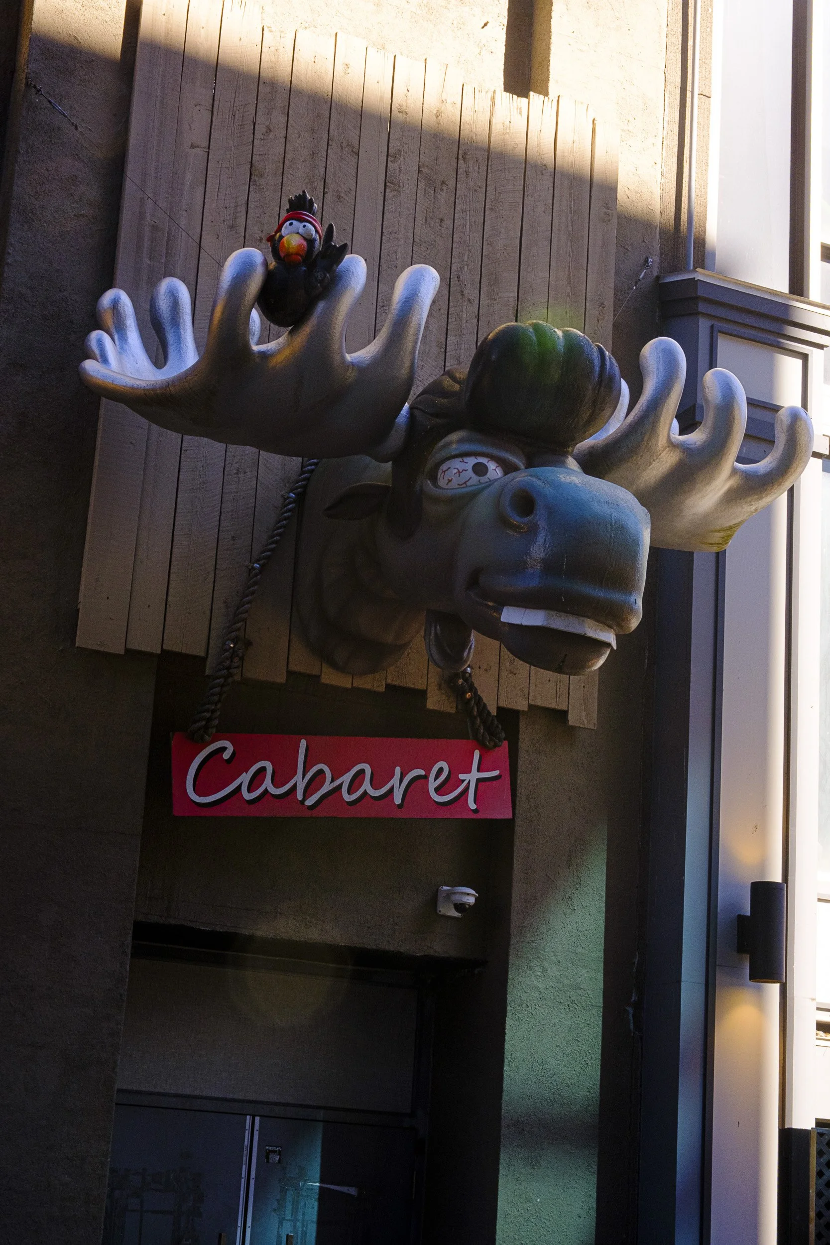 Entrance to the Toothy Moose Cabaret Club, Halifax