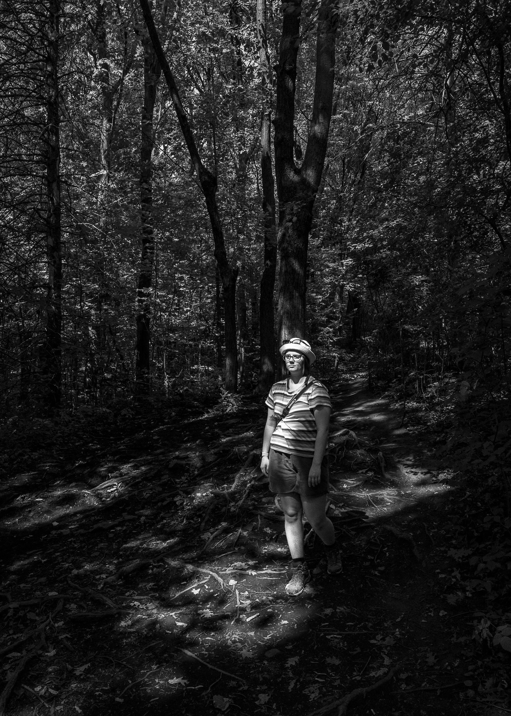 V in the woods, Mount Royal, Montreal, Quebec