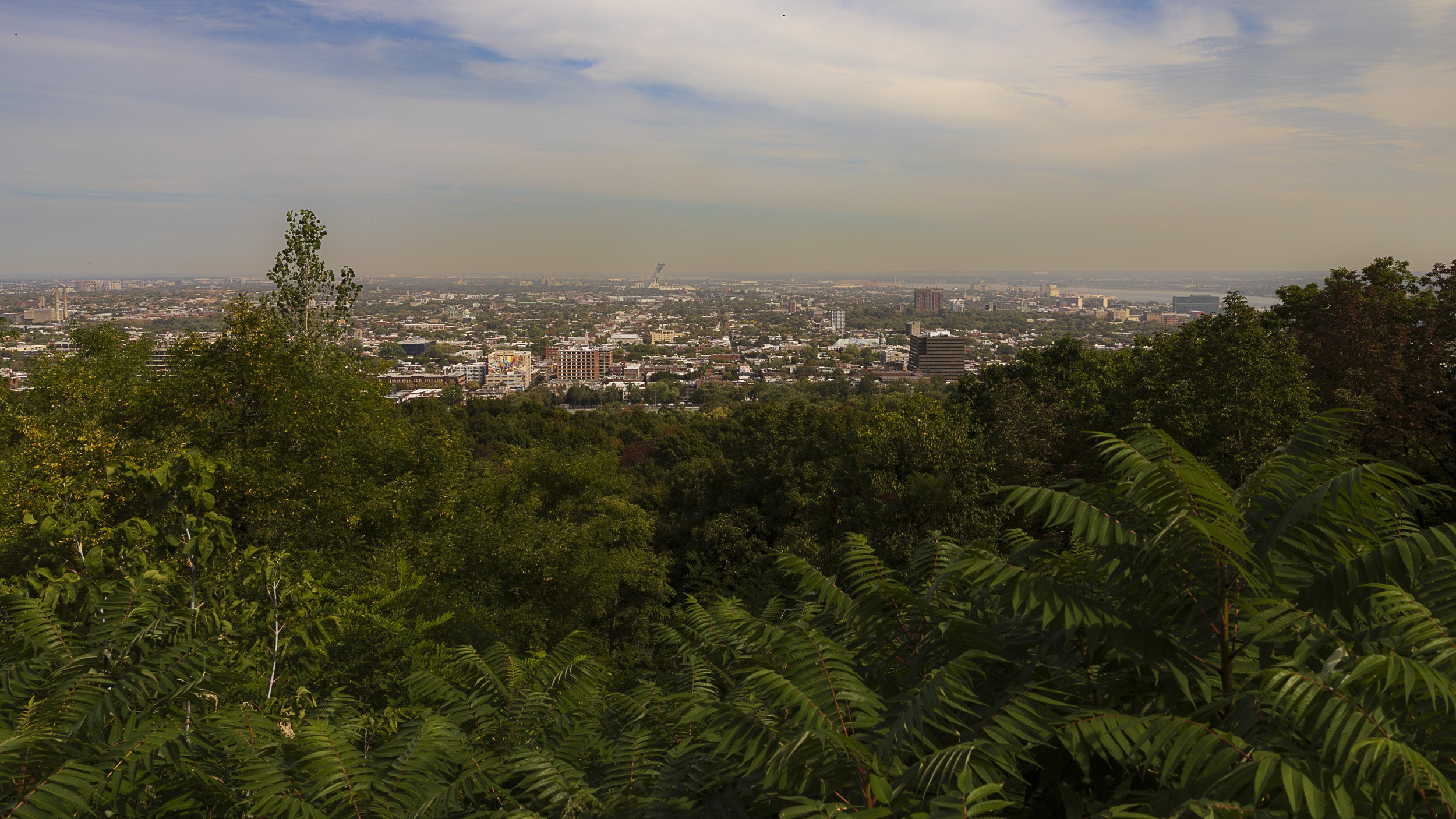 View of Montreal from Mount Royal