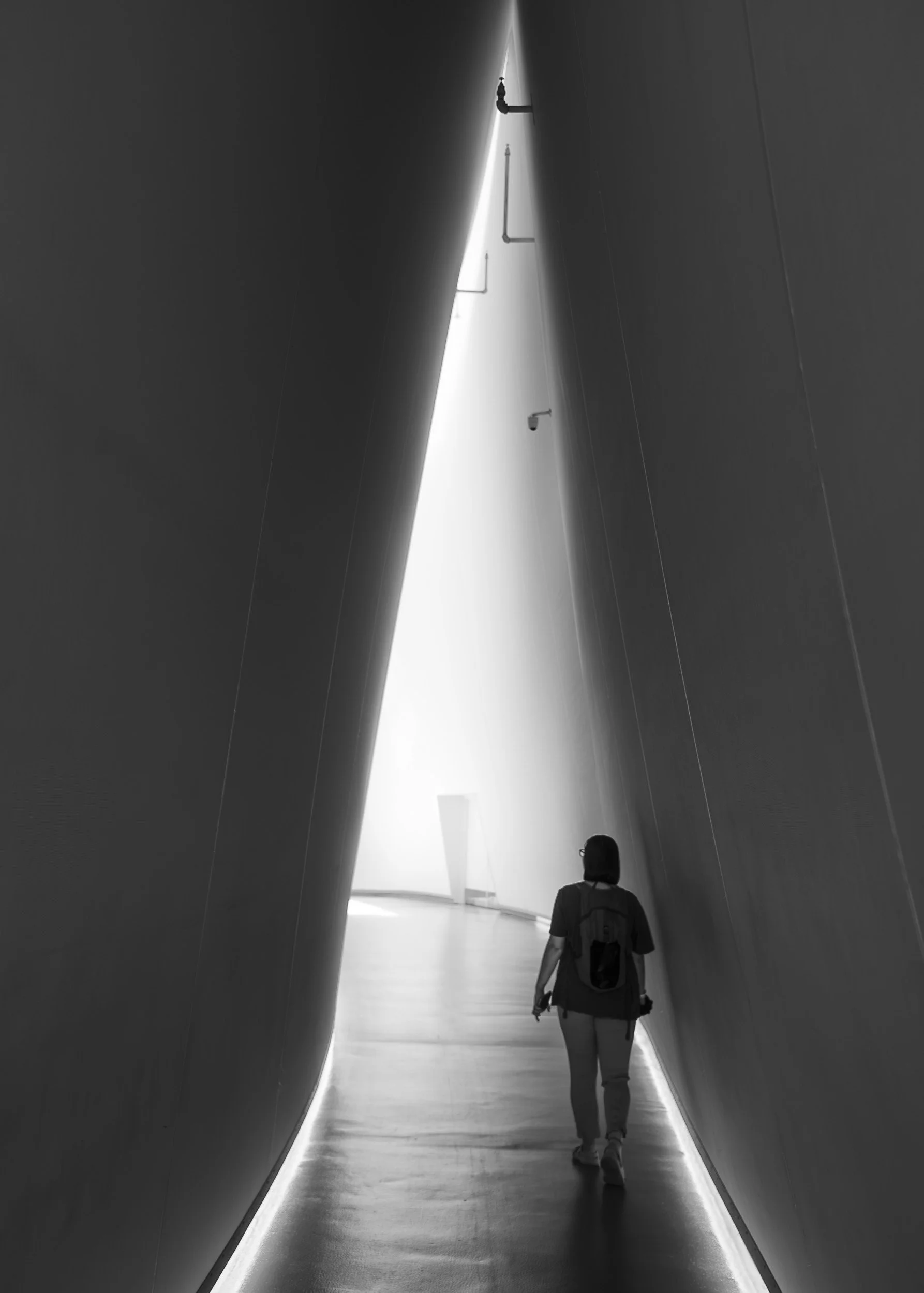 Exploring the Montreal Biodrome