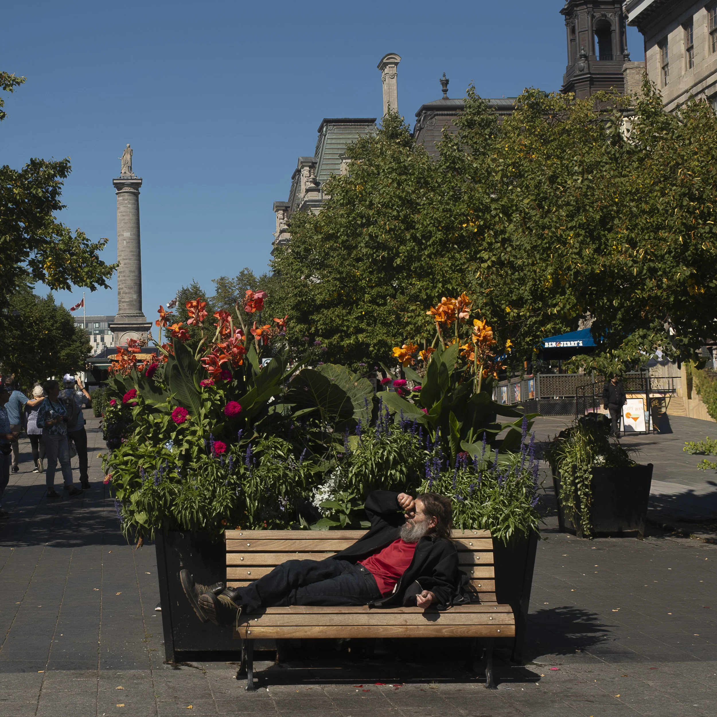 Just chillin' in downtown Montreal