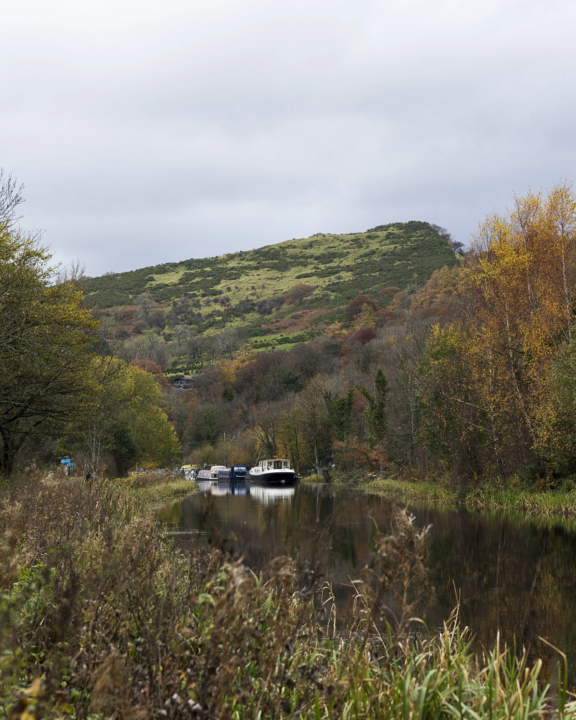 Forth and Clyde Canal near Bowliong