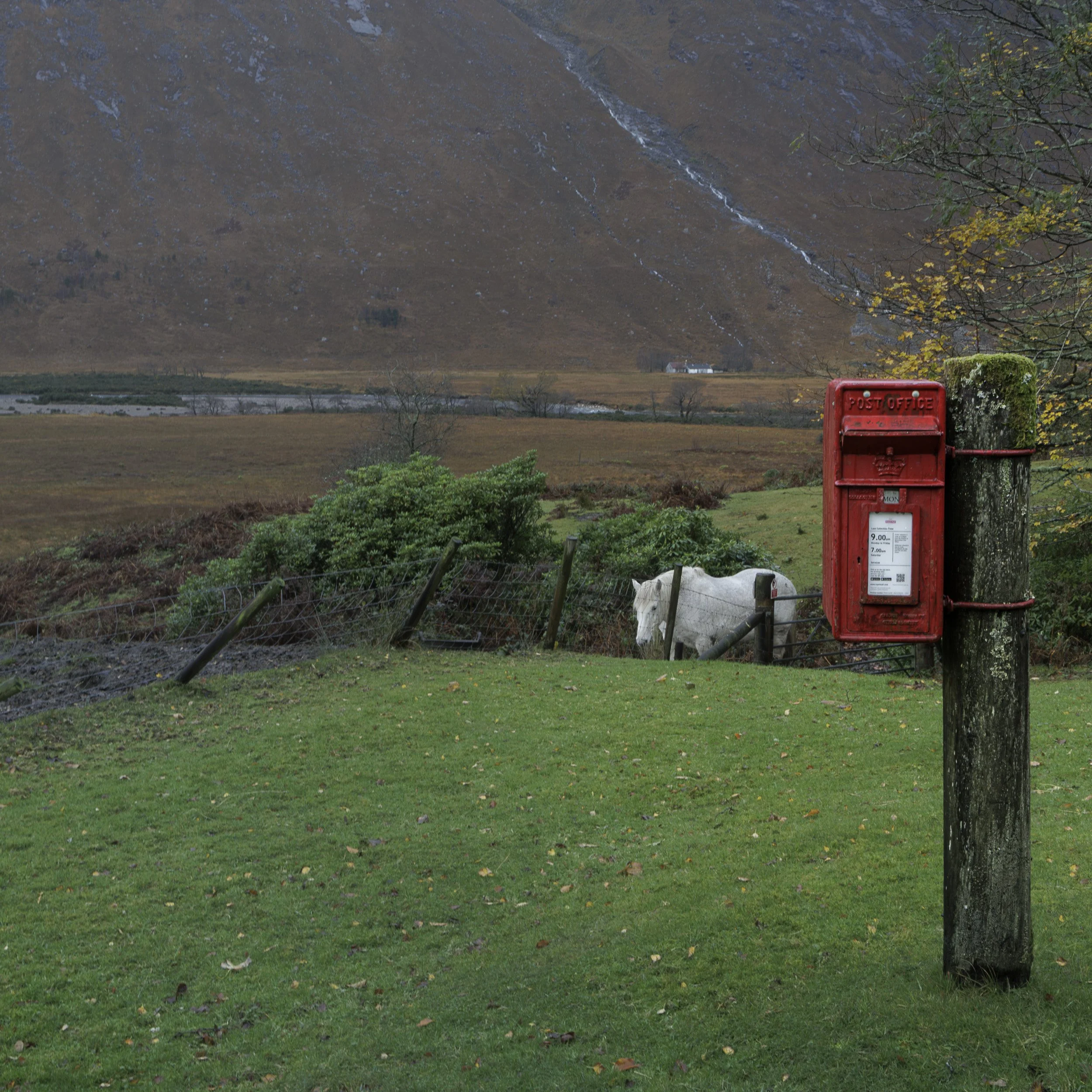 Mailbox and pony, Glen Etive