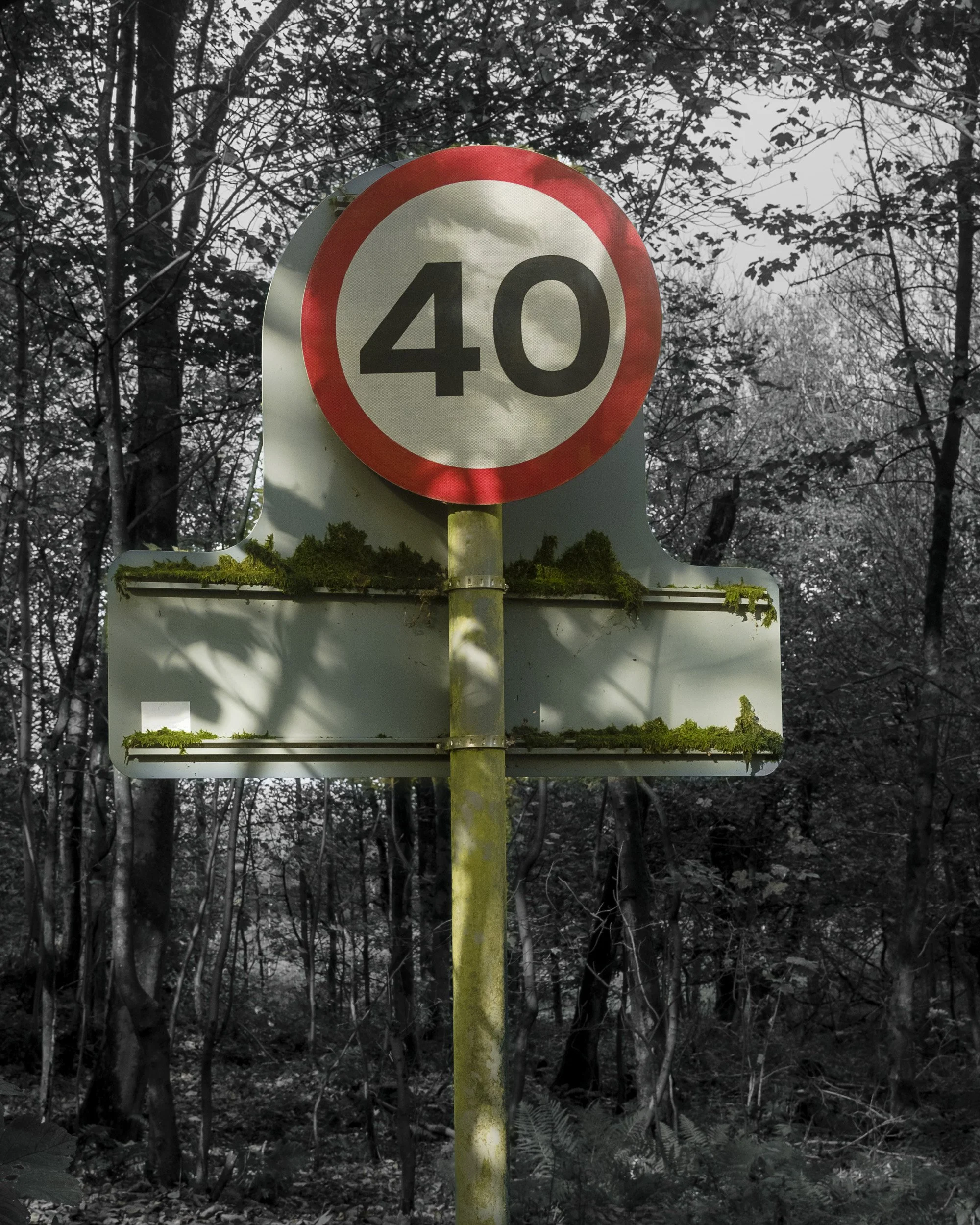 40 miles per hour, Blanefield