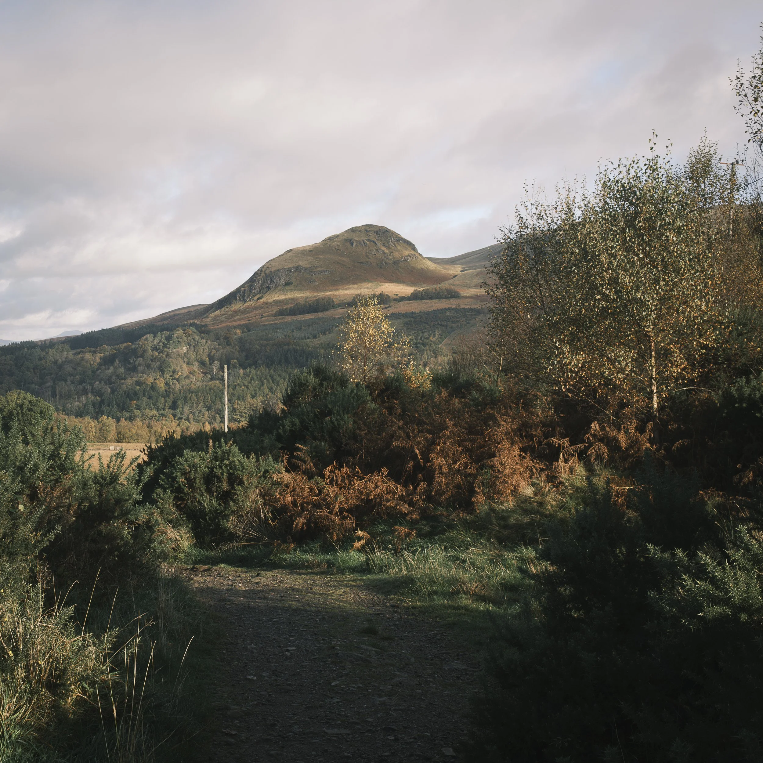 Dumgoyne