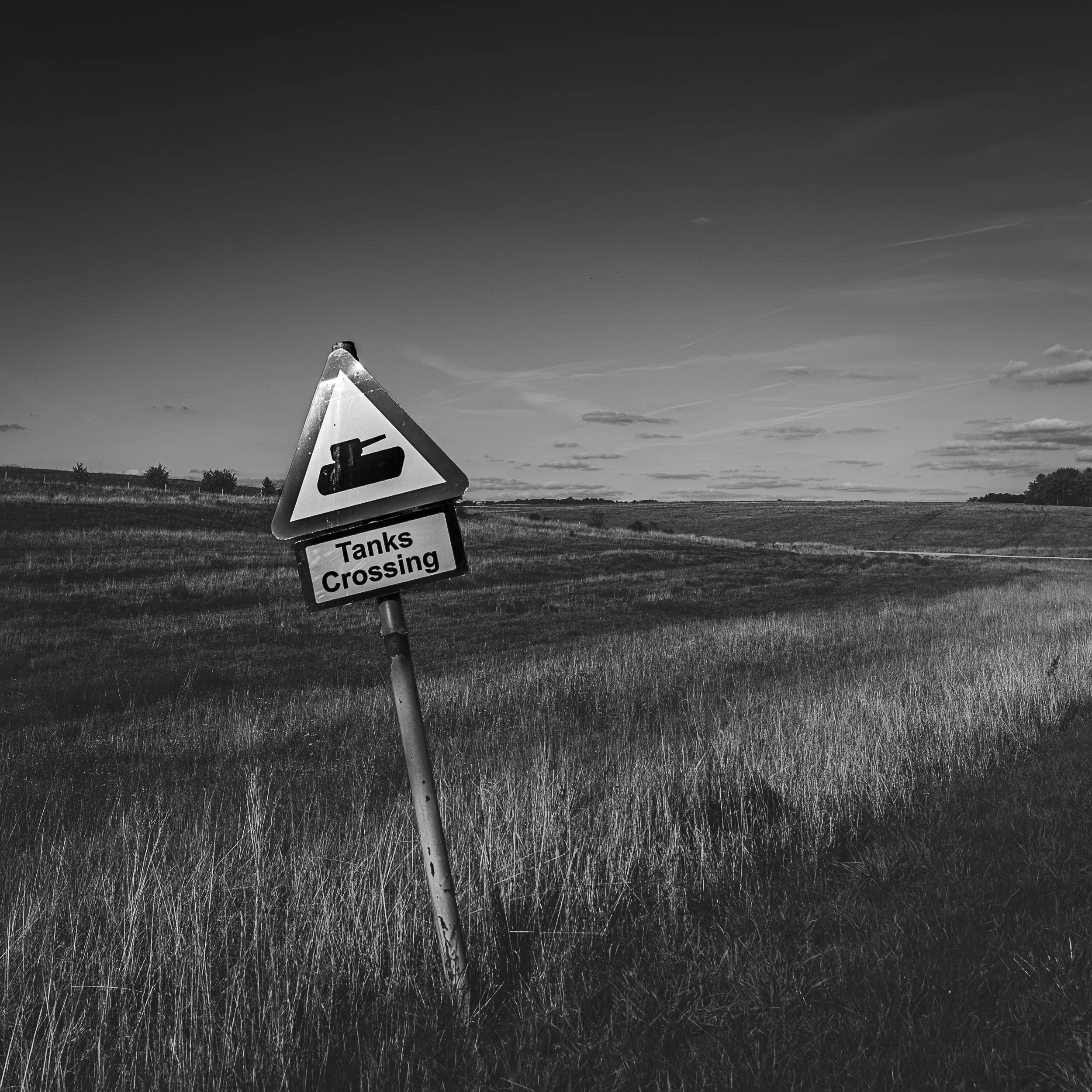 Salisbury Plain