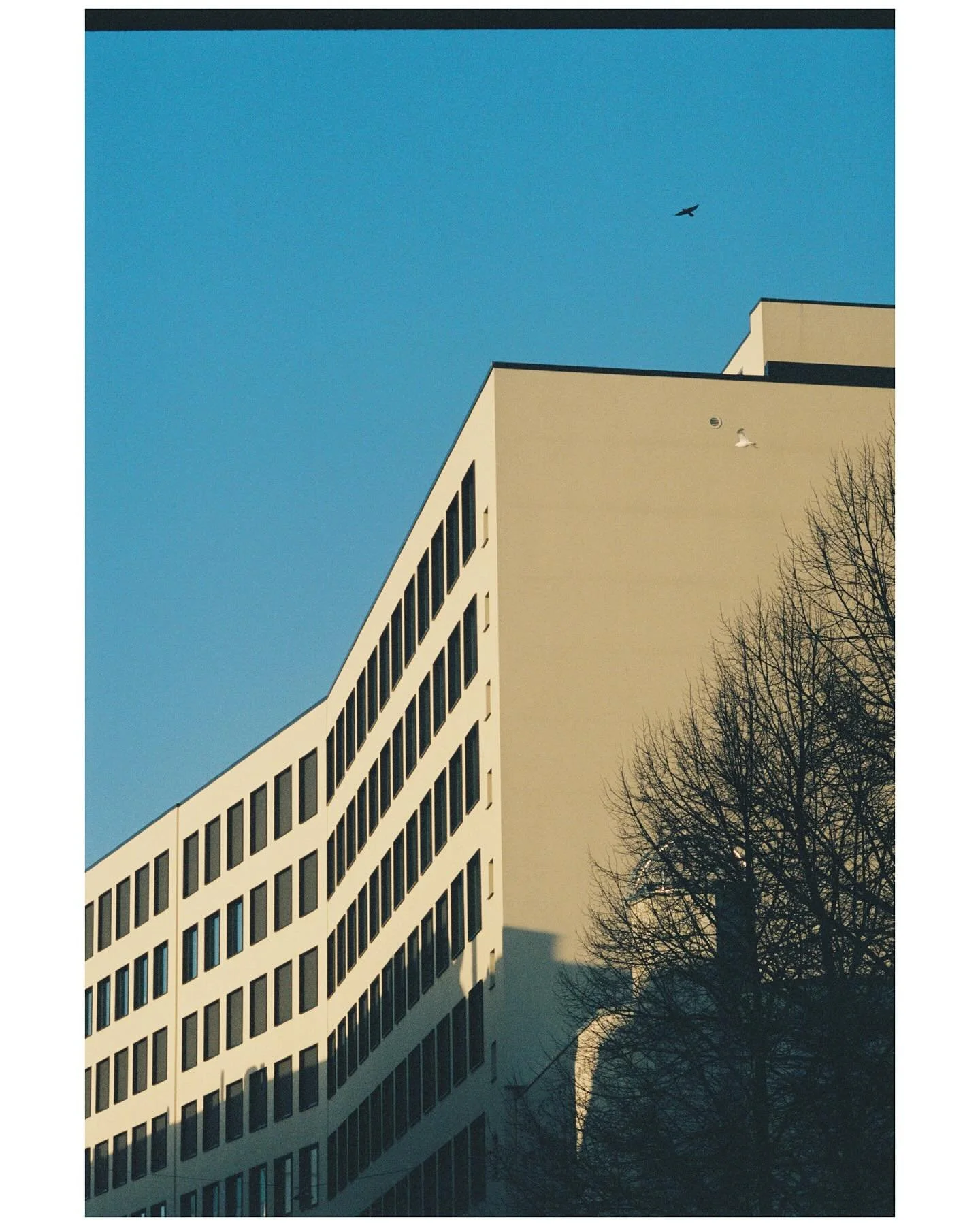 Is it too early to start looking forward to the crisp blue skies of January?