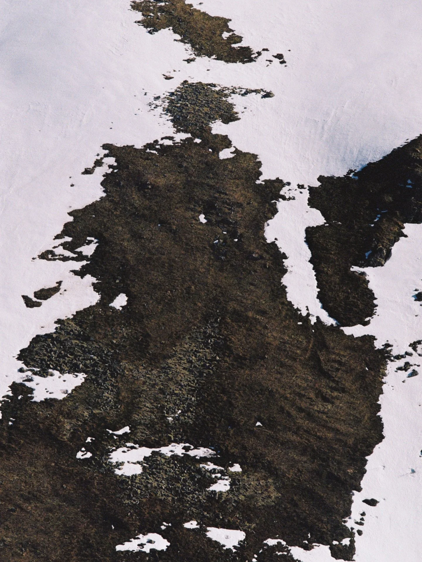 Just a couple of arctic shots from the roll to welcome you in to the first working week of 2026! Happy new year everyone!