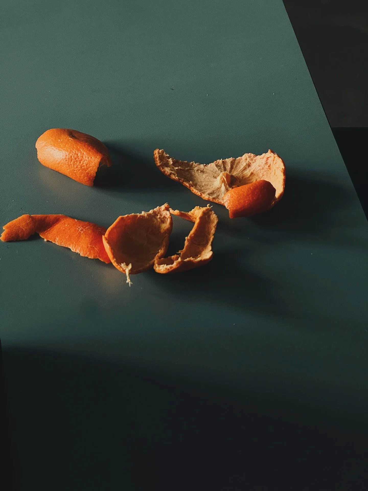 Finally this season is upon us. The seasons of orange peel casting such lovely shadows that you simply cannot resist reaching for your camera phone. The season where damp windows turn into glittering amber pearls and the season where all dead things 