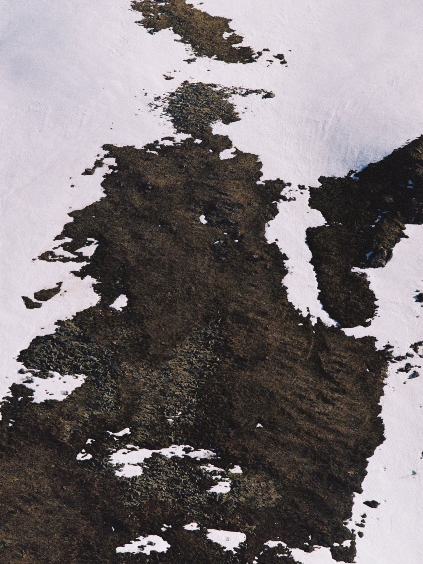 Just a couple of arctic shots from the roll to welcome you in to the first working week of 2026! Happy new year everyone!