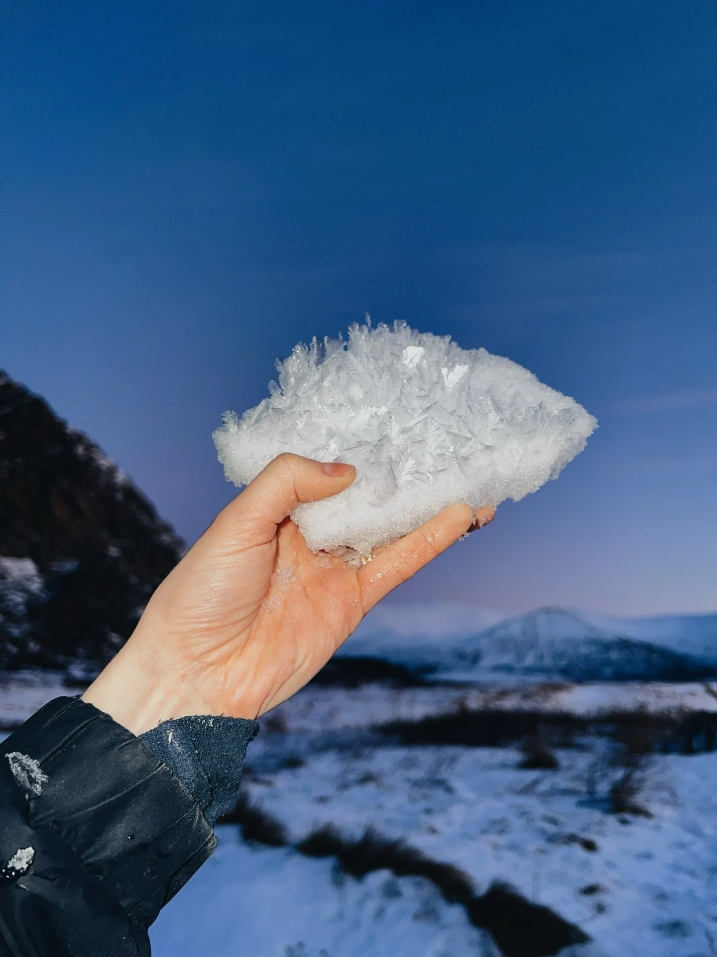 A slice of the Arctic, my forever muse.