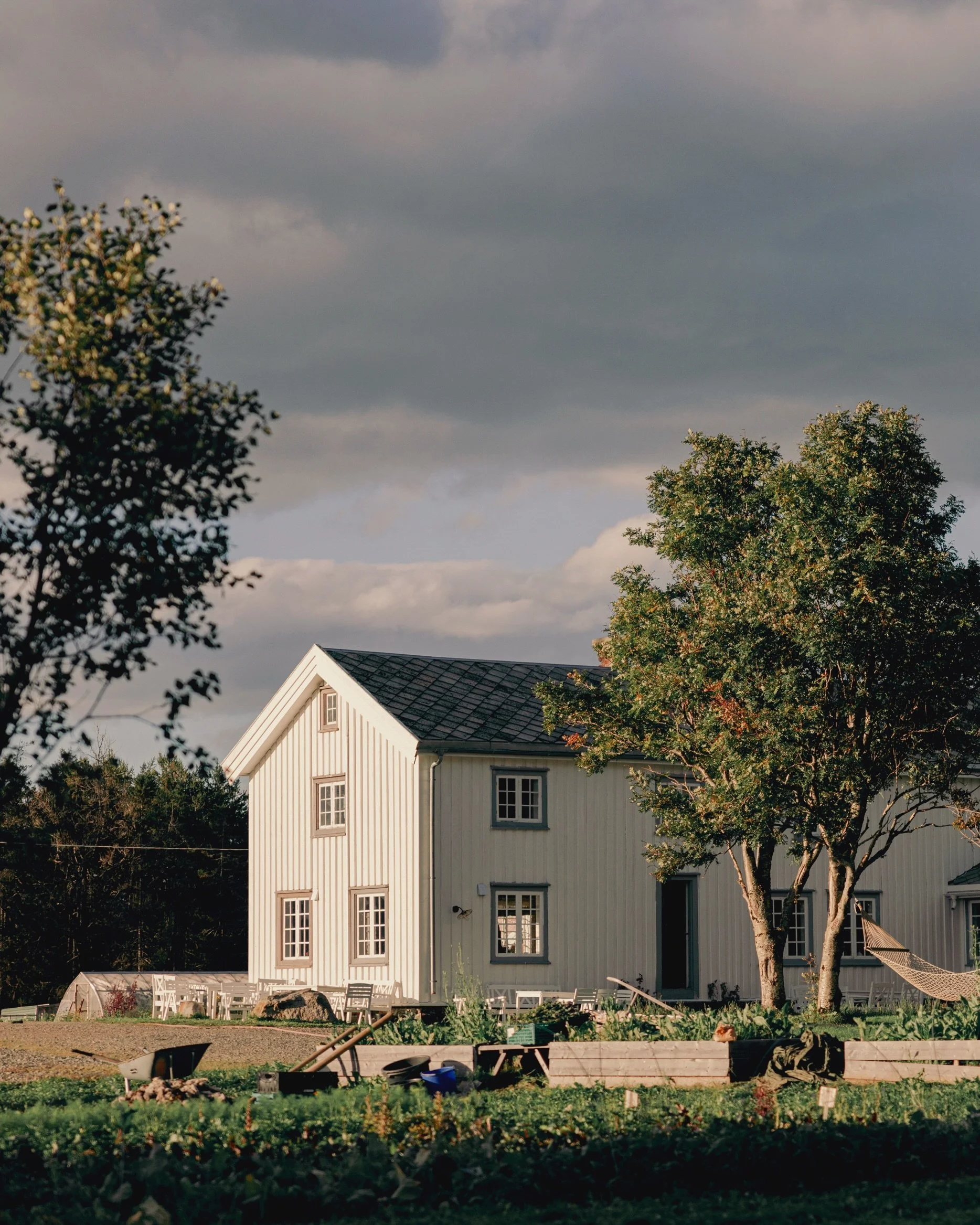 Back in 2023, when I spent a year living in the Arctic, @sthalvar at @kvitnes.gaard was one of the very few people in the north who made space for me as a photographer. He kept inviting me back to document life on the farm.
There&rsquo;s something sp