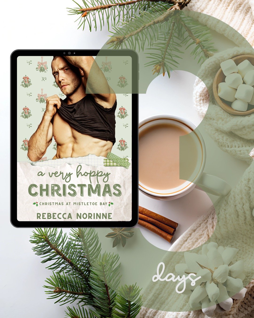 Only 3 days to go until you get to meet Stella and Cade, my black cat x golden retriever couple. She's a brewer; he's a lobsterman (who you first met in The Santa Situation). Who's ready?

#holidayromancebooks 
#christmasatmistletoebay 
#smalltownrom