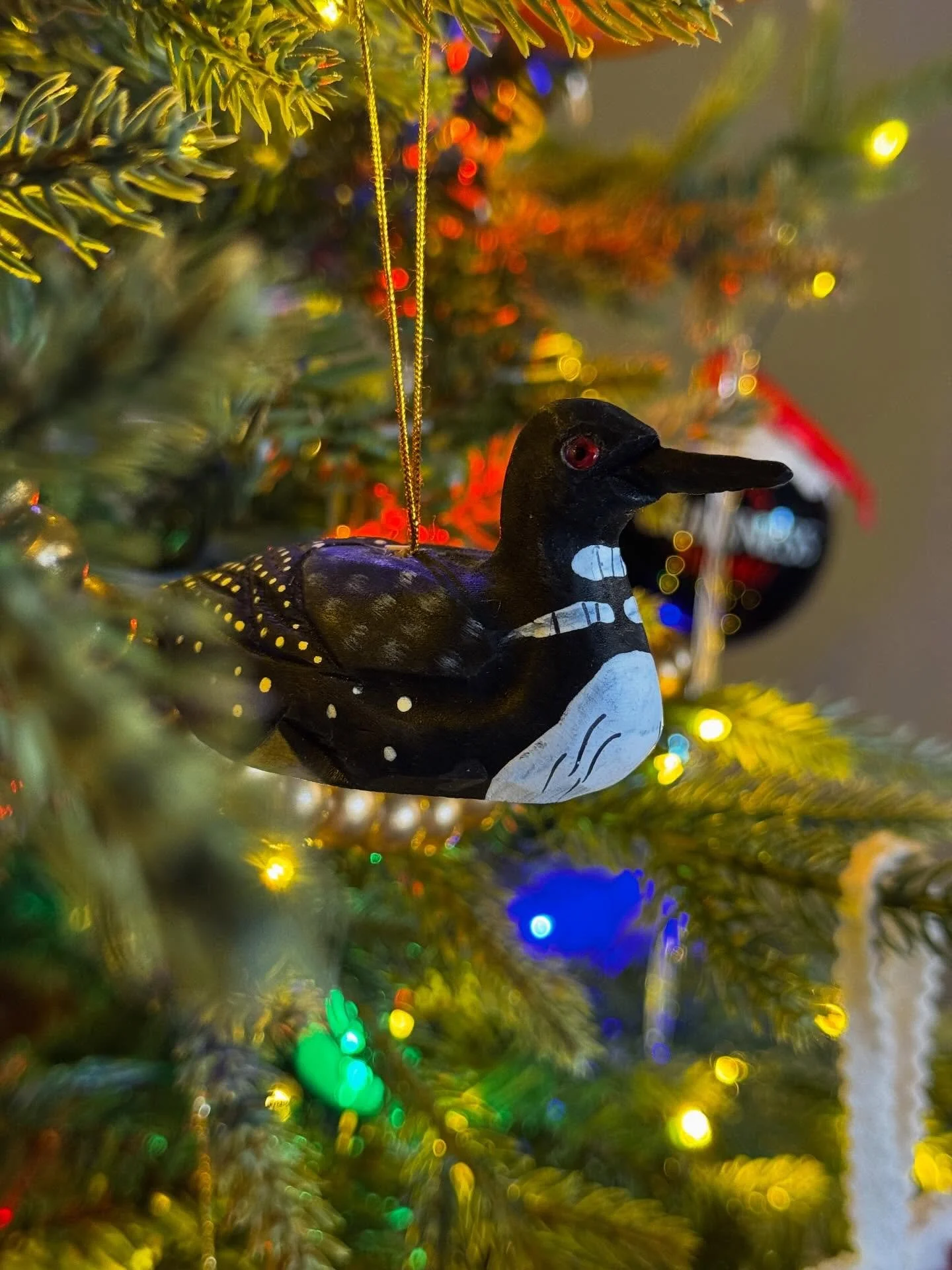 IYKYK.
.
.
.
No, I didn&rsquo;t buy this ornament because of Heated Rivalry. We actually spend a week every summer at a lake in Maine, and I am obsessed with loons. This year, we had two that seemed to live in the cove where our rental was and I was 