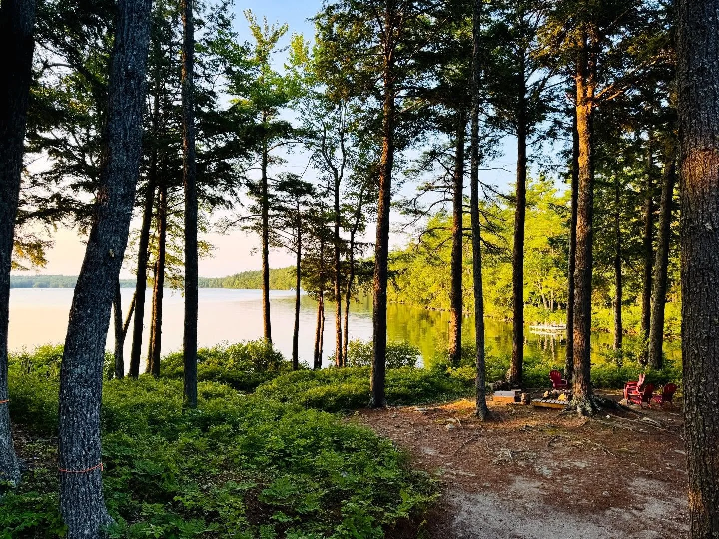 Mentally, I&rsquo;m already at the cottage listening to wolf birds.