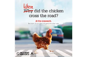 Pedestrian-Safety-Delaware-Office-of-Highway-Safety-photo