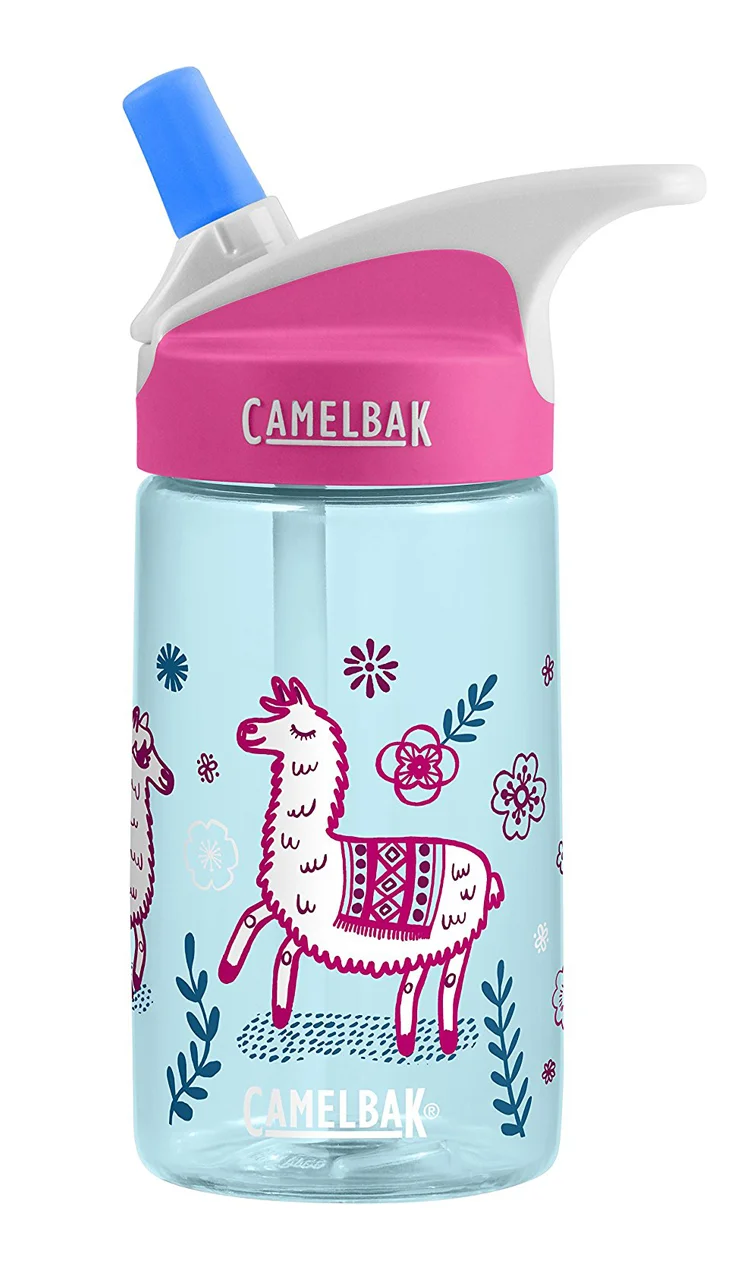 AllisonColeLlamaBottleCamelbak.jpg