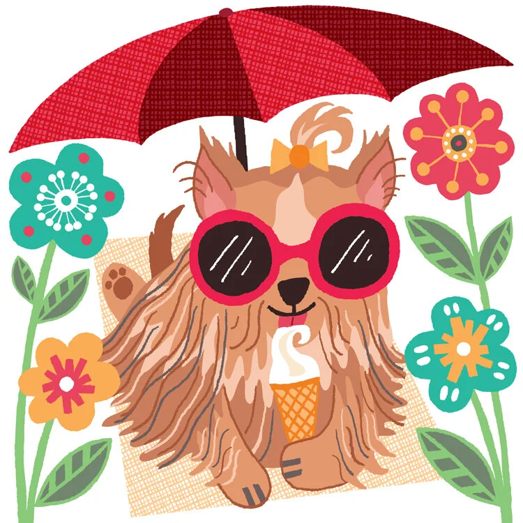 Dog Ice Cream